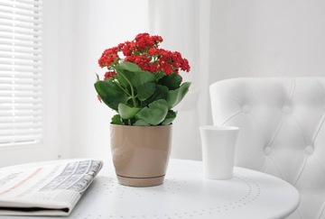 ЦВЕТОЧНЫЙ ГОРШОК ТОСКАНА НА ПОДСТАВКЕ, диаметр. 17СМ ГЛЯНЦЕВЫЙ БЕЛЫЙ Форма-пластик