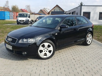 Audi A3 8P Hatchback 3d 2.0 TDI PD 140KM 2004