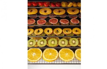 Пищевой дегидратор Zyle 500W для ФРУКТОВ, ОВОЩЕЙ, ТРАВ и МЯСА