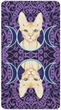 ТАРО ЯЗЫЧЕСКИХ КОТОВ - ОРИГИНАЛЬНЫЕ карты Таро!