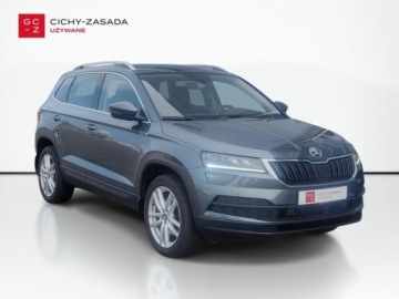 Skoda Karoq Crossover 1.5 TSI ACT 150KM 2019 Skoda Karoq 1.5 Benzyna 150KM, zdjęcie 6