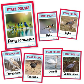 Karty obrazkowe - PTAKI POLSKI - 79 kart - FISZKI - montessori