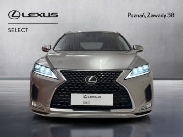 Lexus RX IV SUV Facelifting RX 300 238KM 2020 Lexus RX 300 Elegance IV (2015-2020) Lexus RX 300, zdjęcie 5