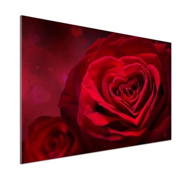 Panel lacobel Czerwona róża serca 100x70 cm + KLEJ