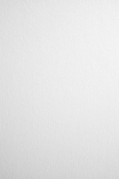 Papier NETTUNO 215g drobne prążki biały 10A4