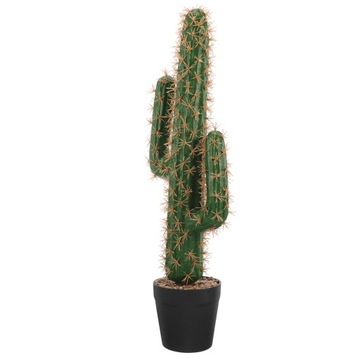 KAKTUSY DUŻE ROŚLINY REALISTYCZNE SAGUARO