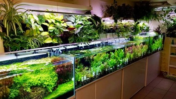 Субстрат Platinum Soil NORMAL [3л] - японский субстрат