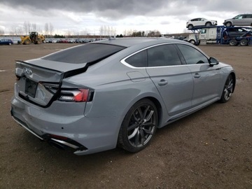 Audi A5 F5 2019 Audi RS5 Coupe 2019 2.9l 2.9 Benzyna 444KM, zdjęcie 3
