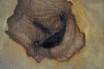 Большой выбор ломтиков каштана 42x40Gr4cm Поднос