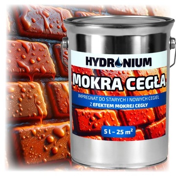 HYDROFOBOWY ROZPUSZCZALNIKOWY IMPREGNAT DO CEGIEŁ EFEKT MOKREJ CEGŁY 5 L