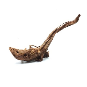 Biorain Roots Natural Tropical Croot Driftwood для террариума M 20-30 см.