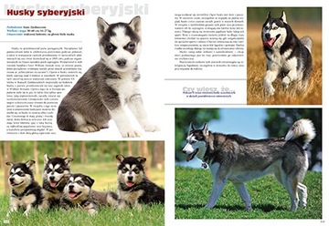 Породить собаку со всего мира