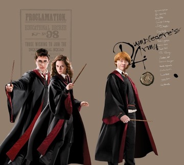 Zasłony Harry Potter , 180 x 160, AG Design