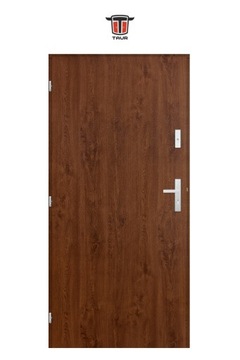 ПОЛЬСКИЕ НАРУЖНЫЕ ДВЕРИ INOX SALF 55MM 90CM