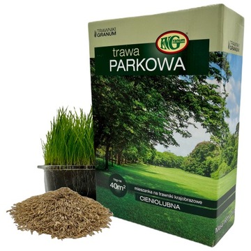TRAWA Parkowa Cieniolubna Odporna Ogrodowa 1kg40m2