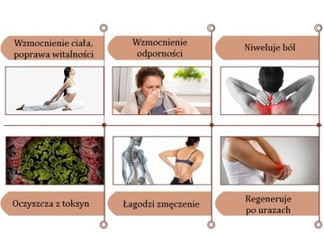 Materac mata turmalinowa magnetyczna PEMF grzejąca photon nefrytowa Gateway