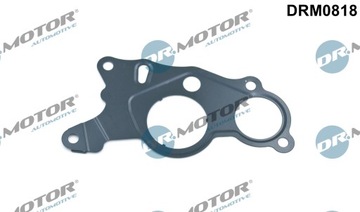 USZCZELKA VACUM POMPY DRM0818/DCM