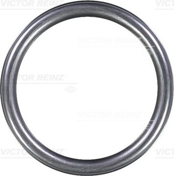 O-RING MB REINZ 407631310