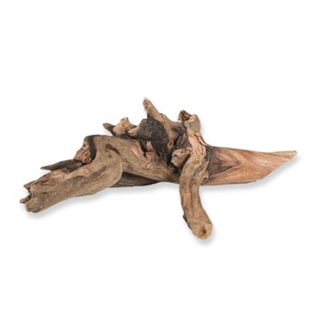Biorain Roots Natural Tropical Croot Driftwood для террариума M 20-30 см.