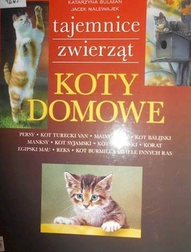 Koty domowe - Katarzyna Bulman