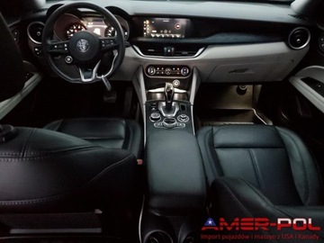 Alfa Romeo Stelvio SUV Facelifting 2.0 Turbo 280KM 2021 Alfa Romeo Stelvio _SPORT_2.0 L_280 km_4x4_2021r 2.0 Benzyna 280KM, zdjęcie 6