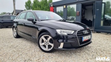 Audi A3 8V Sportback 5d Facelifting 1.5 TFSI 150KM 2017 Audi A3 Sportback 1.5T 150KM manual Navi czujniki climatronic 100 bezwypad, zdjęcie 24