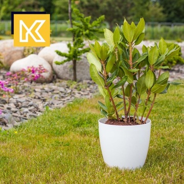 3x ЦВЕТОЧНЫЙ ВАЗ 18см С КРЫШКОЙ И БЕЛОЙ ПОДСТАВКОЙ