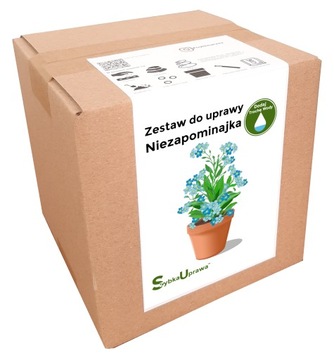 NIEZAPOMINAJKA zestaw do uprawy domowej KWIATY