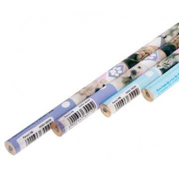 Канцелярские товары ШКОЛЬНЫЕ ВЕЩИ КАРАНДАШИ Карандаш с ластиком Мега-тюбик для кошек/собак