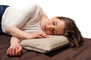 ПОДУШКА ГРЕЧНЕВАЯ, СЕРТИФИКАТ ПЖ, ХЛОПОК 100%, 40х50 см