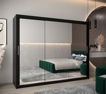 Шкаф-купе TOKYO 3 250, высота 200 см.