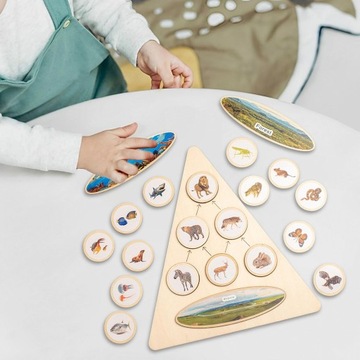 Life Cycle Puzzle Kit Early Learning Toy Education