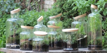 Набор Ваза стеклянная Jar M-H24 + деревянная крышка