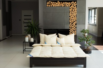 PODUSZKA Z PIERZA 50x60,100% BAWEŁNA,PIERZE 0,8 KG