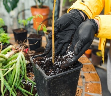 Перчатки неопудренные MERCATOR NITRYLEX BLACK, размер М, черные, 100 шт.