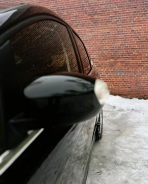 Ford C-MAX II Minivan 1.0 EcoBoost 100KM 2013 Ford C-MAX Grzane fotele Klima Super stan Gwarancja w cenie Warszawa VFXV, zdjęcie 33