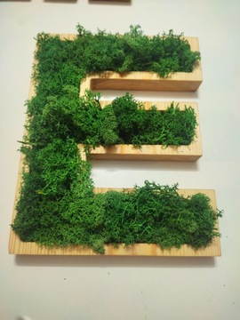 буквы с мхом хроботек любой текст