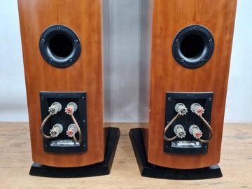 Dali Mentor 6 - колонки