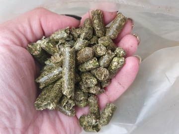 LUCERNA GRANULOWANA 4KG KRÓLIKI, KONIE DRÓB, BYDŁO