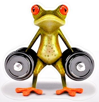 NAKLEJKI NAKLEJKA ŻABA KERMIT ŻABKA Z HANTLAMI