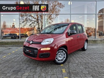 Fiat Panda III 2025 Fiat Panda Pandina Icon 1.0 70 KM 5-miejscowa, zdjęcie 7