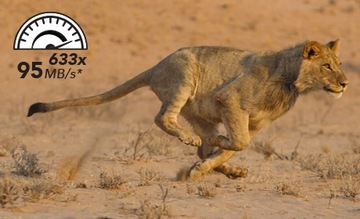 Карта памяти Lexar mSD 64 ГБ microSDXC UHS-I x633