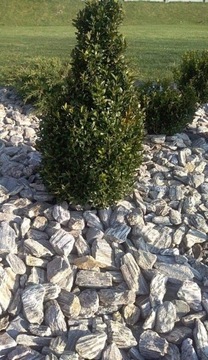 КАМЕННАЯ КОРА 32-64 1000 кг гнейс ОПТОМ БЕСПЛАТНО