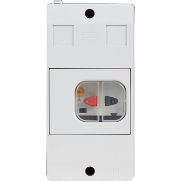 WYŁĄCZNIK SILNIKOWY PKZM01-16-G w obudowie 10-16A 286089 Eaton