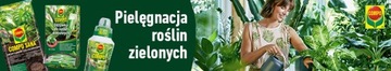 ГРУНТ для растений ЗЕЛЕНОЙ пальмы монстера COMPO 5л