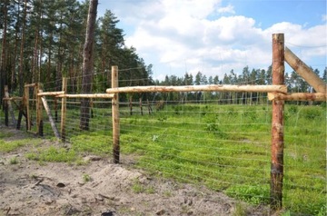 Сетка ограждения ЛЕСНАЯ 125/13/30 рулон 50 метров