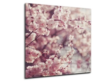 dekor szkło panel hartowany HD 50x50 wiśnia