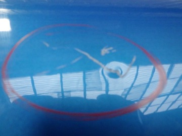 DRZWI PRAWE TYLNE TYŁ FORD FIESTA MK7