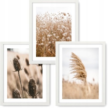 BOHO 3 obrazy 33x43 NATURA BEŻ ramy IKEA #14
