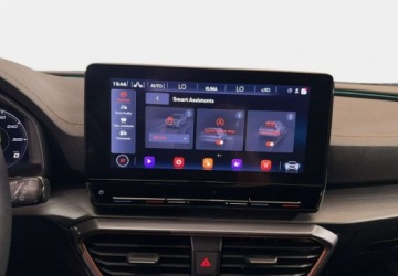 Cupra Formentor Crossover 2.0 TDI 150KM 2024 Cupra Formentor VAT 23 2.0TDI 150KM DSG 4drive 2024 r., salon PL, HAK, Mat, zdjęcie 23